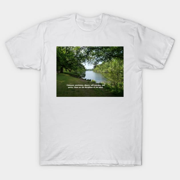 Calmness, gentleness, silence, self-restraint, and purity: these are the disciplines of the mind. T-Shirt by fantastic-designs